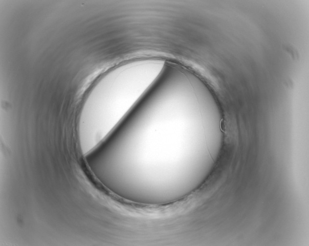 X0000091340015200708101027