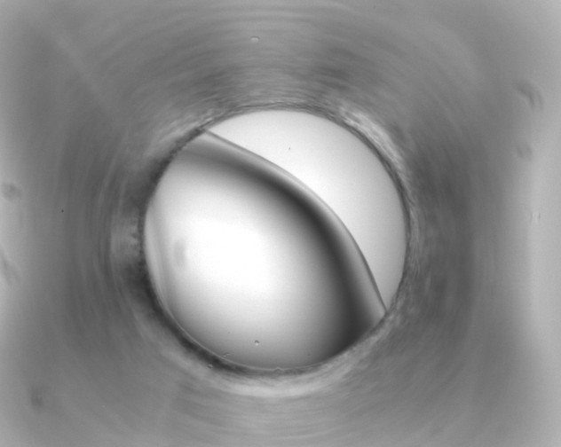 X0000091340017200708101027