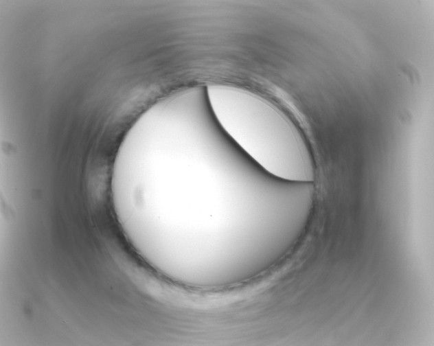 X0000091340018200708101027
