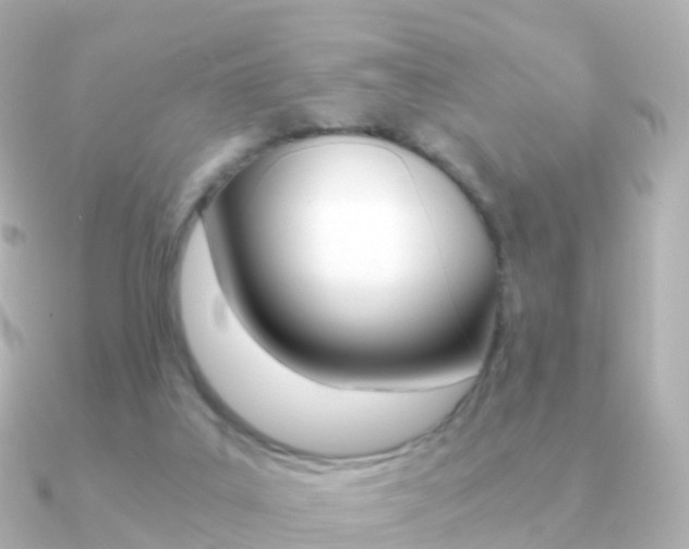 X0000091340019200708101027