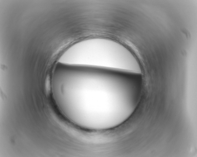 X0000091340020200708101027