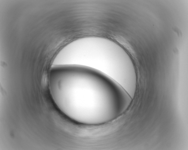 X0000091340021200708101027