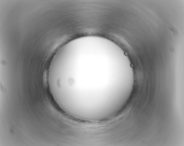 X0000091340024200708101027