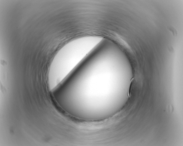 X0000091340025200708101027