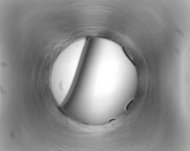 X0000091340031200708101027