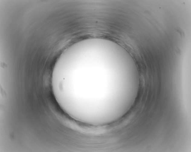 X0000091340032200708101027