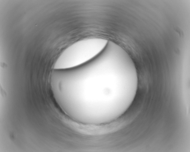 X0000091340034200708101027