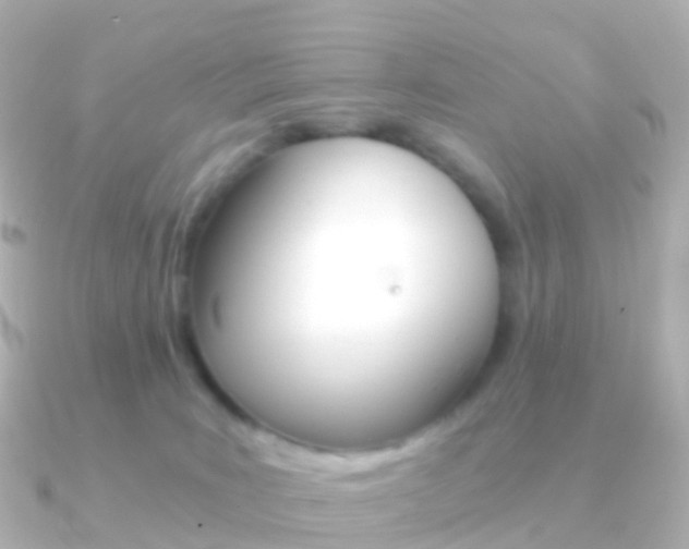 X0000091340035200708101027