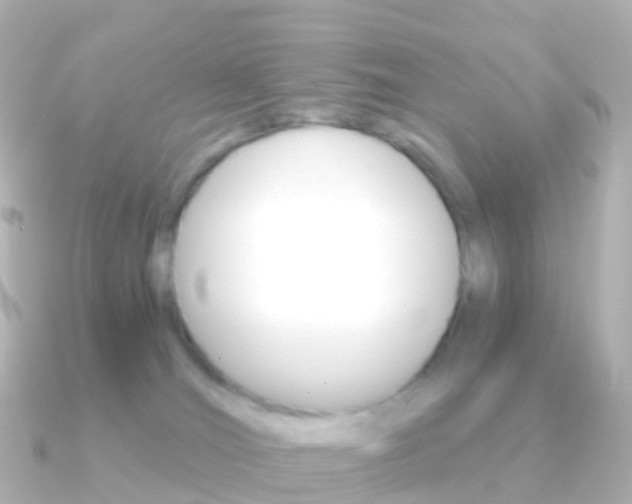 X0000091340036200708101027