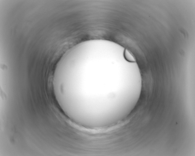 X0000091340038200708101027