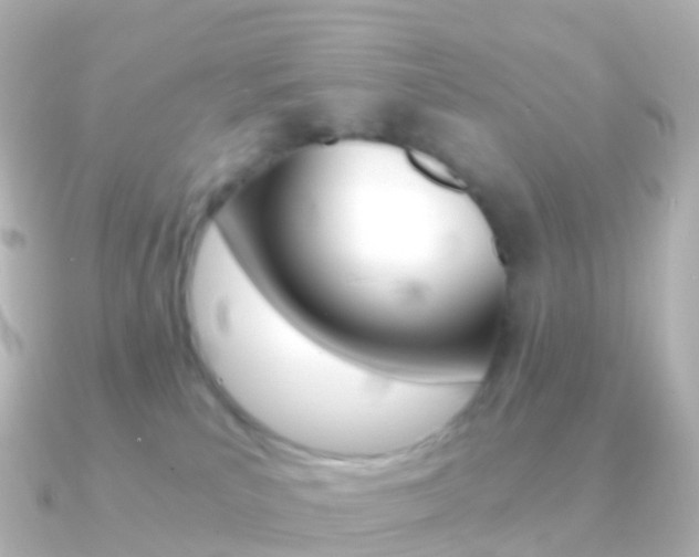 X0000091340039200708101027