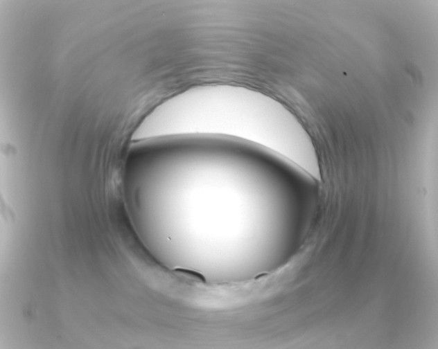 X0000091340045200708101027