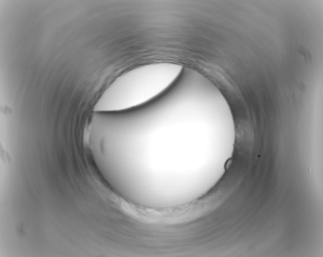 X0000091340046200708101027