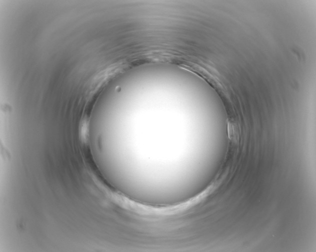 X0000091340047200708101027