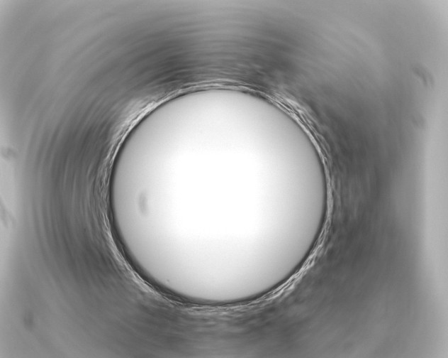 X0000091340049200708101026