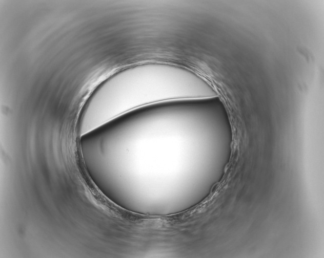 X0000091340050200708101026