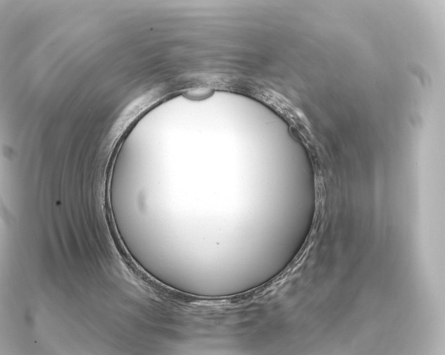 X0000091340051200708101026
