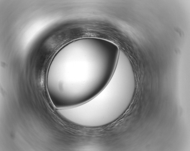 X0000091340052200708101026