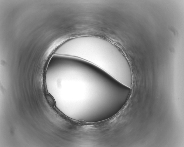 X0000091340054200708101026