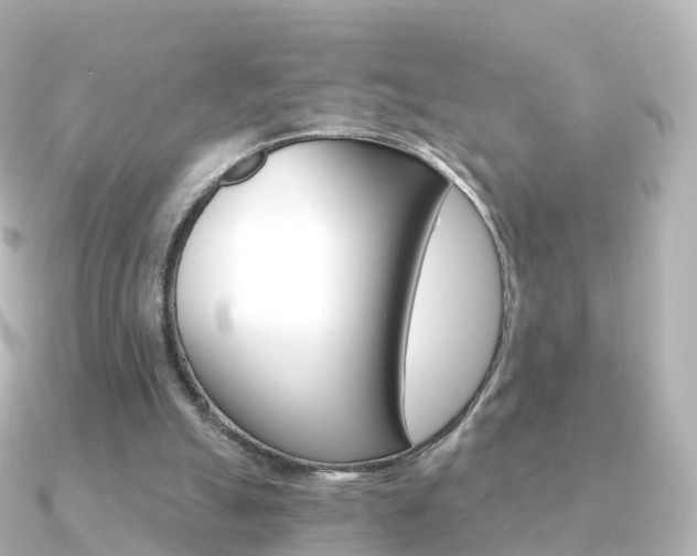 X0000091340055200708101026