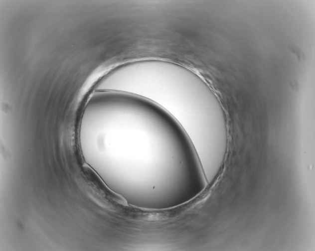 X0000091340056200708101026