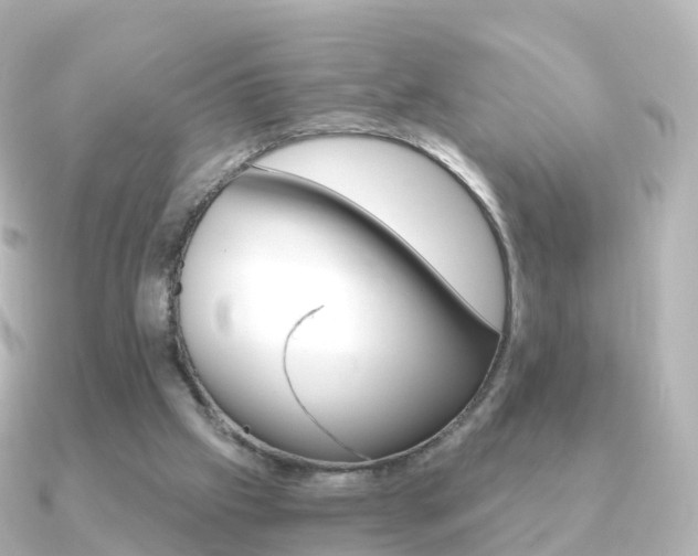 X0000091340057200708101026