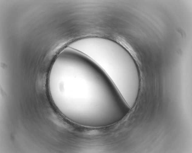 X0000091340058200708101026