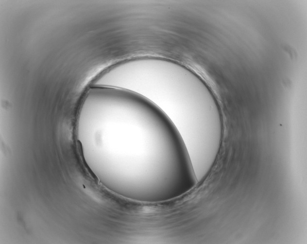 X0000091340060200708101026