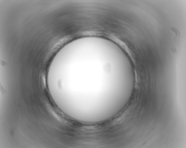 X0000091340061200708101026