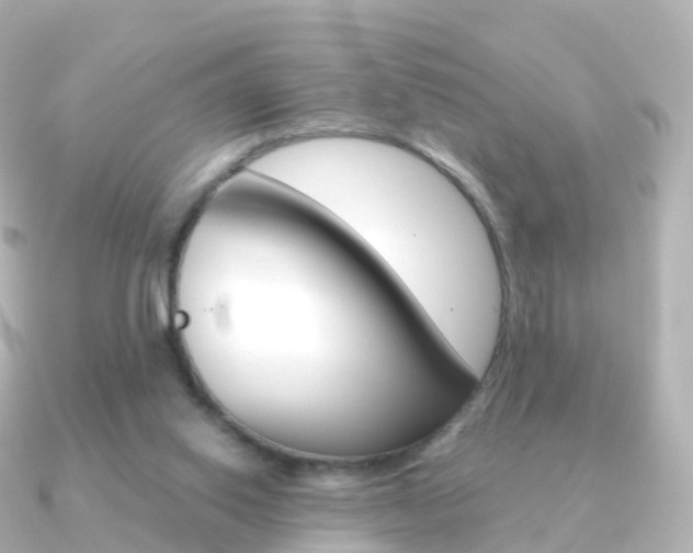 X0000091340062200708101026