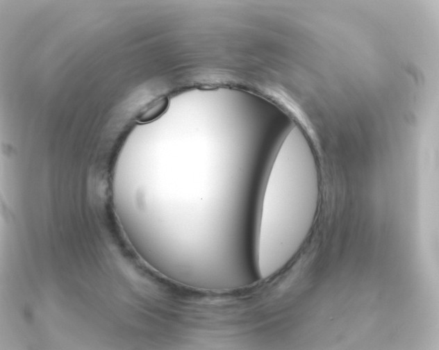 X0000091340063200708101026