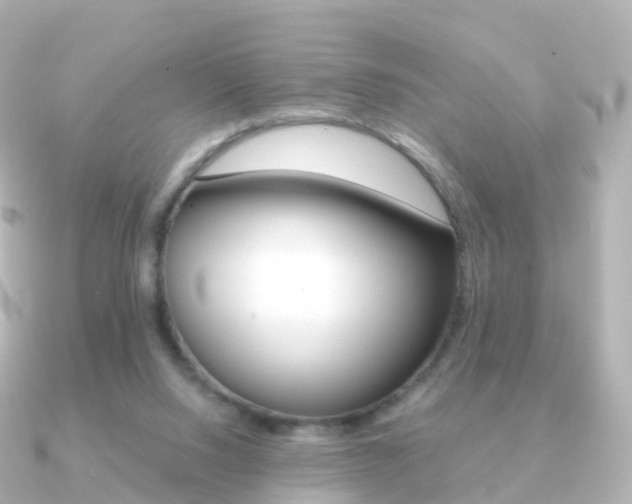 X0000091340064200708101026
