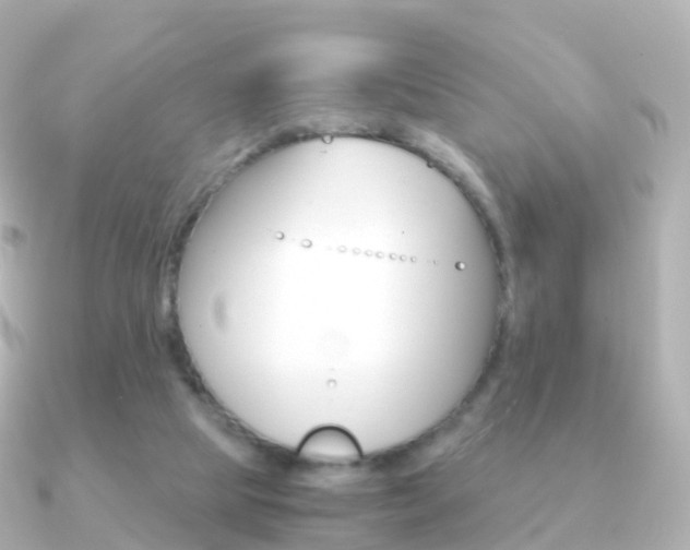X0000091340065200708101026