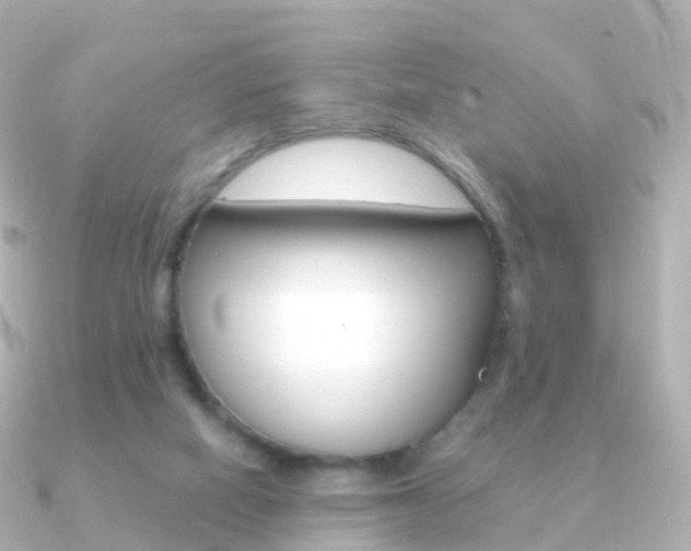 X0000091340066200708101026