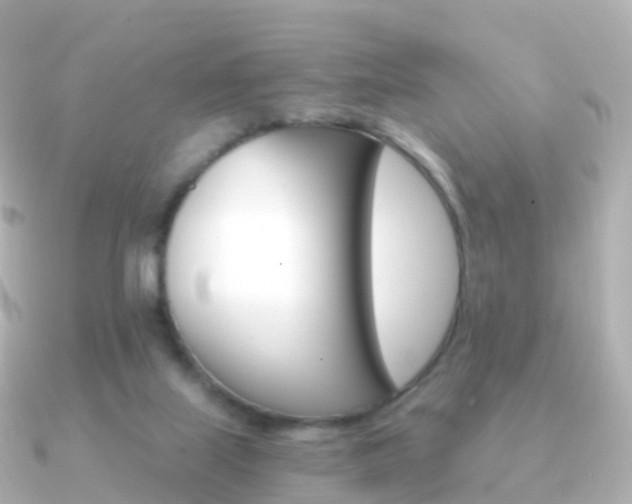 X0000091340067200708101026
