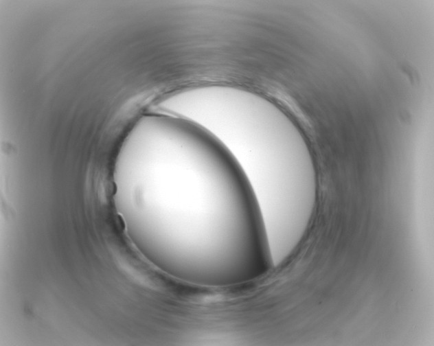 X0000091340068200708101026