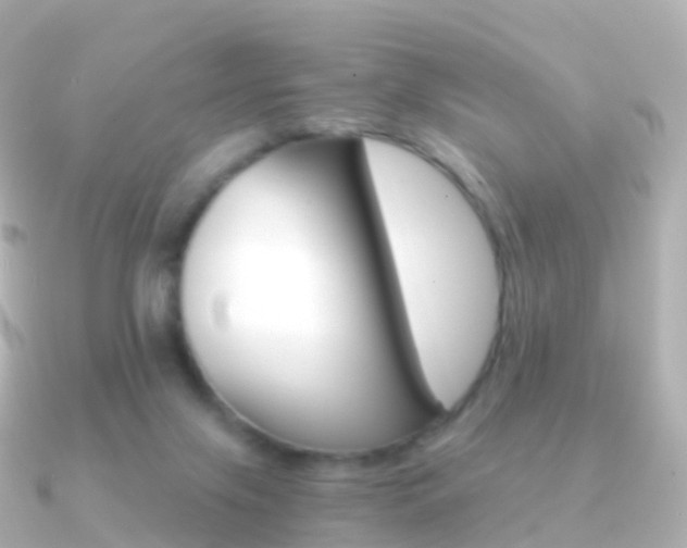 X0000091340071200708101027