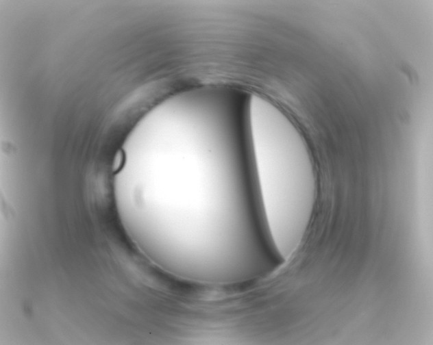 X0000091340074200708101027