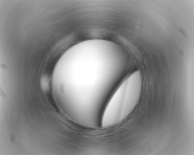 X0000091340075200708101027