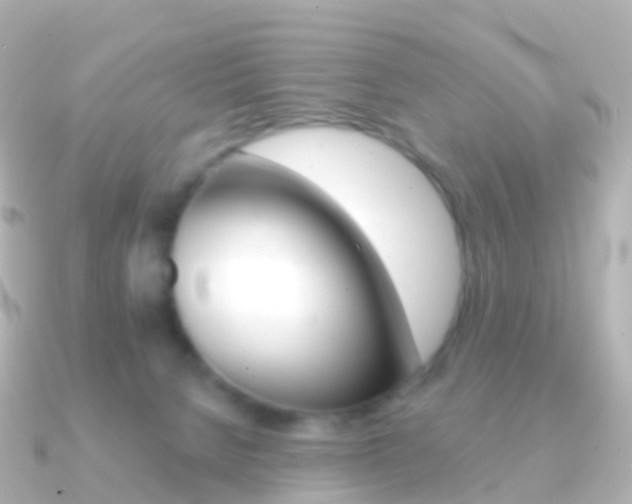 X0000091340080200708101027