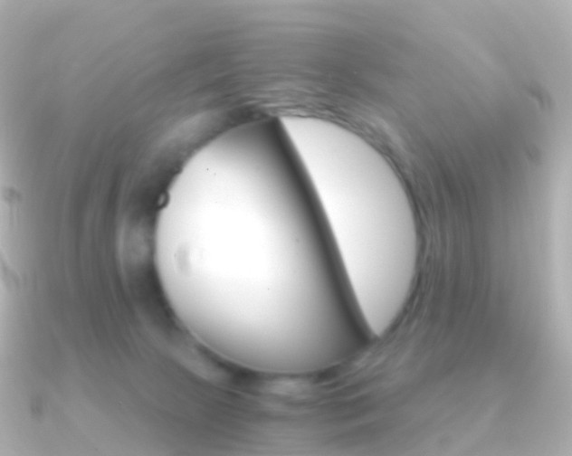 X0000091340081200708101027