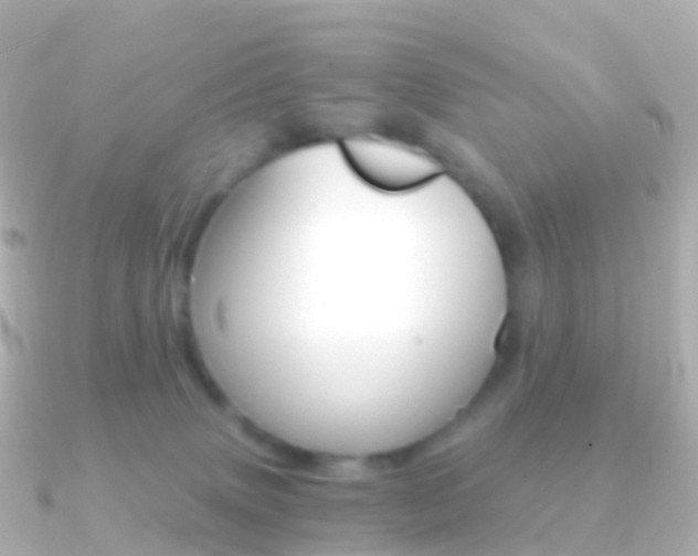 X0000091340083200708101027