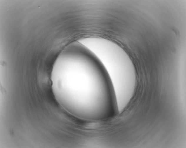X0000091340084200708101027