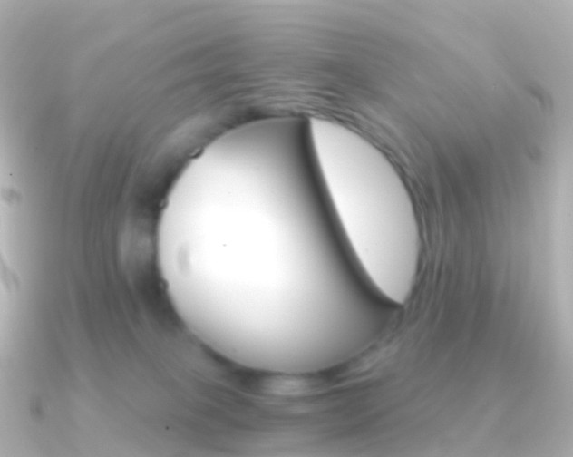 X0000091340085200708101027