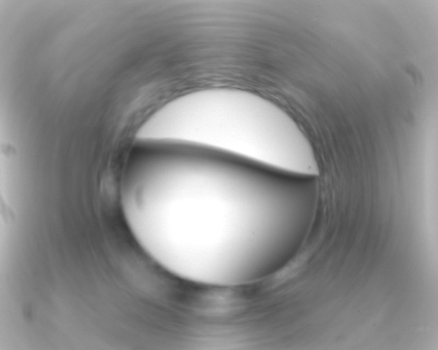 X0000091340086200708101027