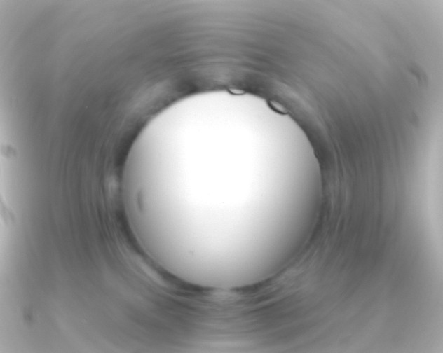 X0000091340087200708101027