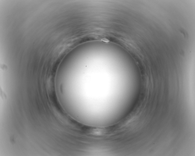 X0000091340088200708101027