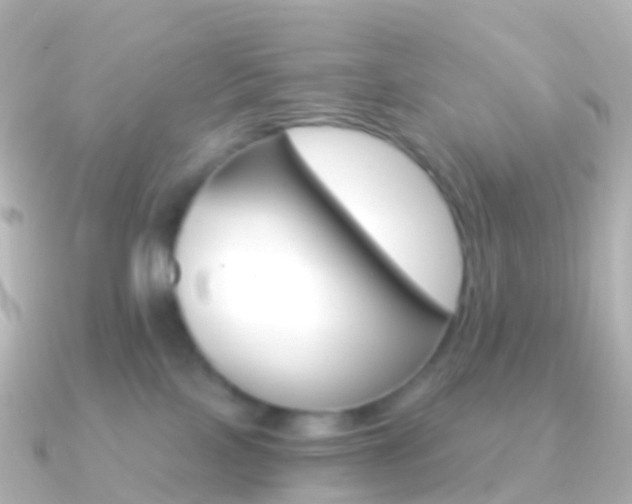 X0000091340089200708101027