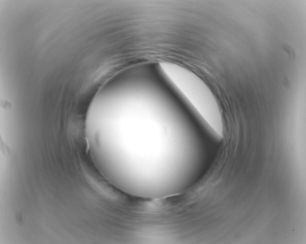 X0000091340092200708101027