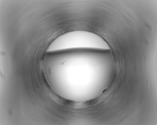 X0000091340093200708101027